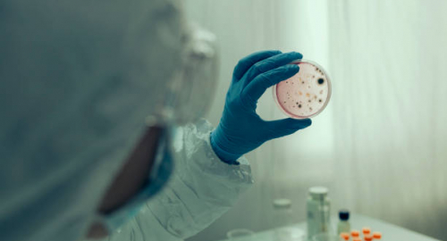 Ebola e restrizioni ai viaggi, tensione tra Stati Uniti ed Europa: il nodo sanitario in vista dei Mondiali 2026
